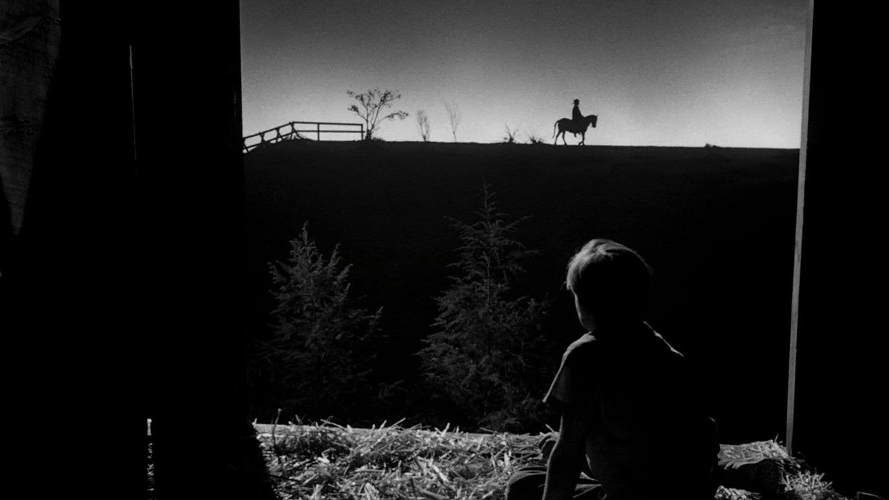 Backdrop for The Night of the Hunter