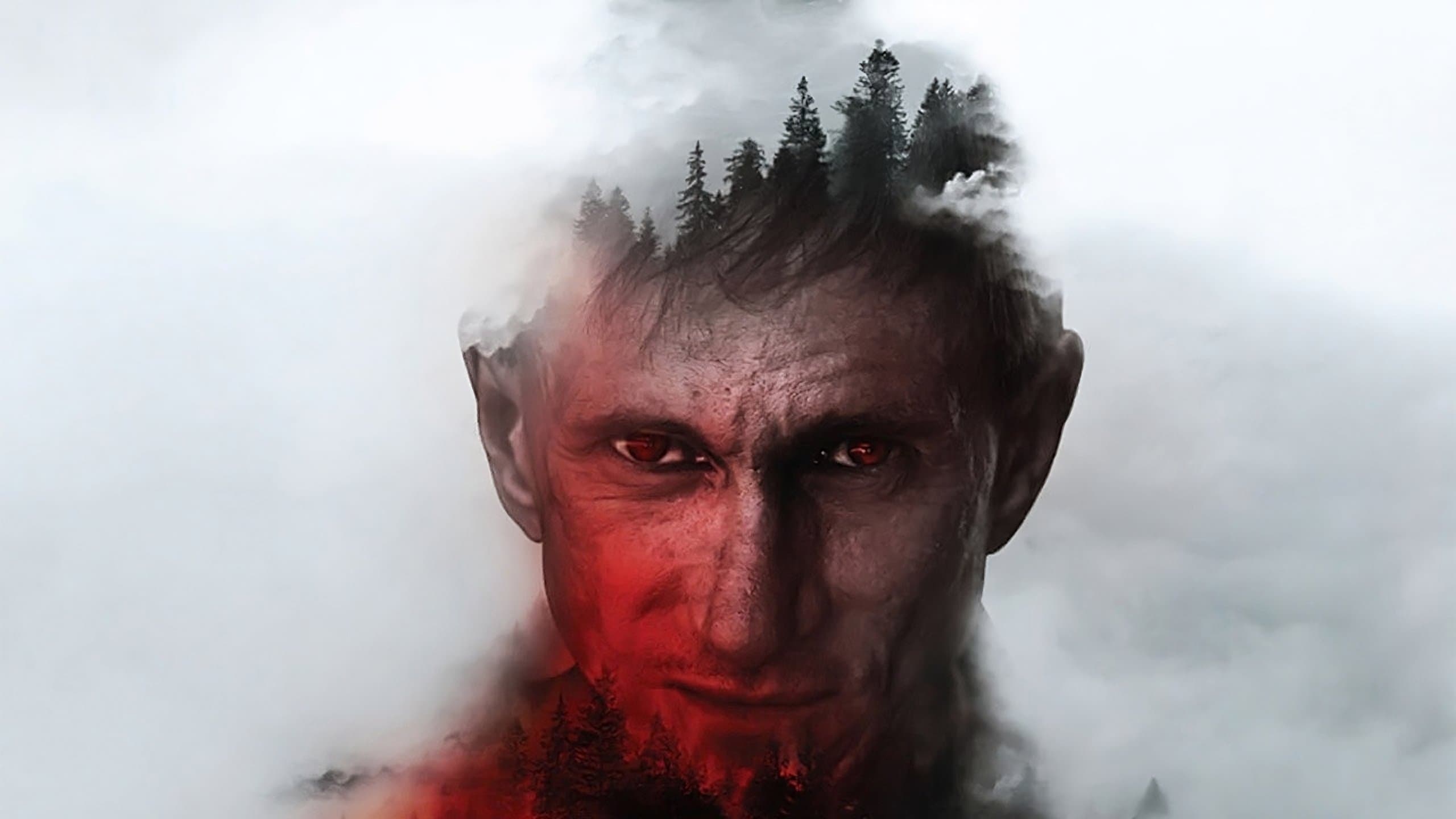 Backdrop for A Stranger in the Woods