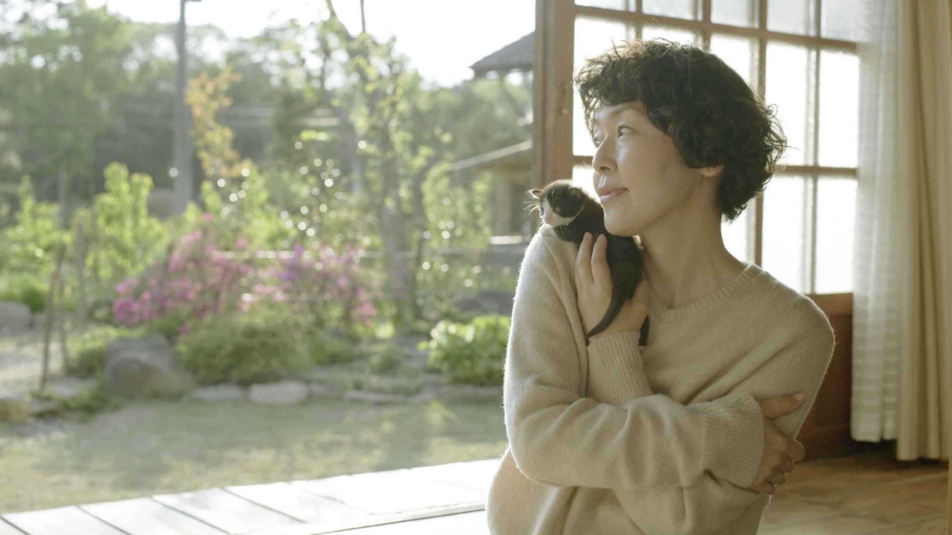 Backdrop for Mountain Days with Tom