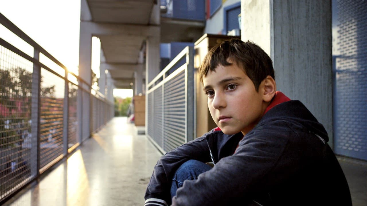 Backdrop for Macondo