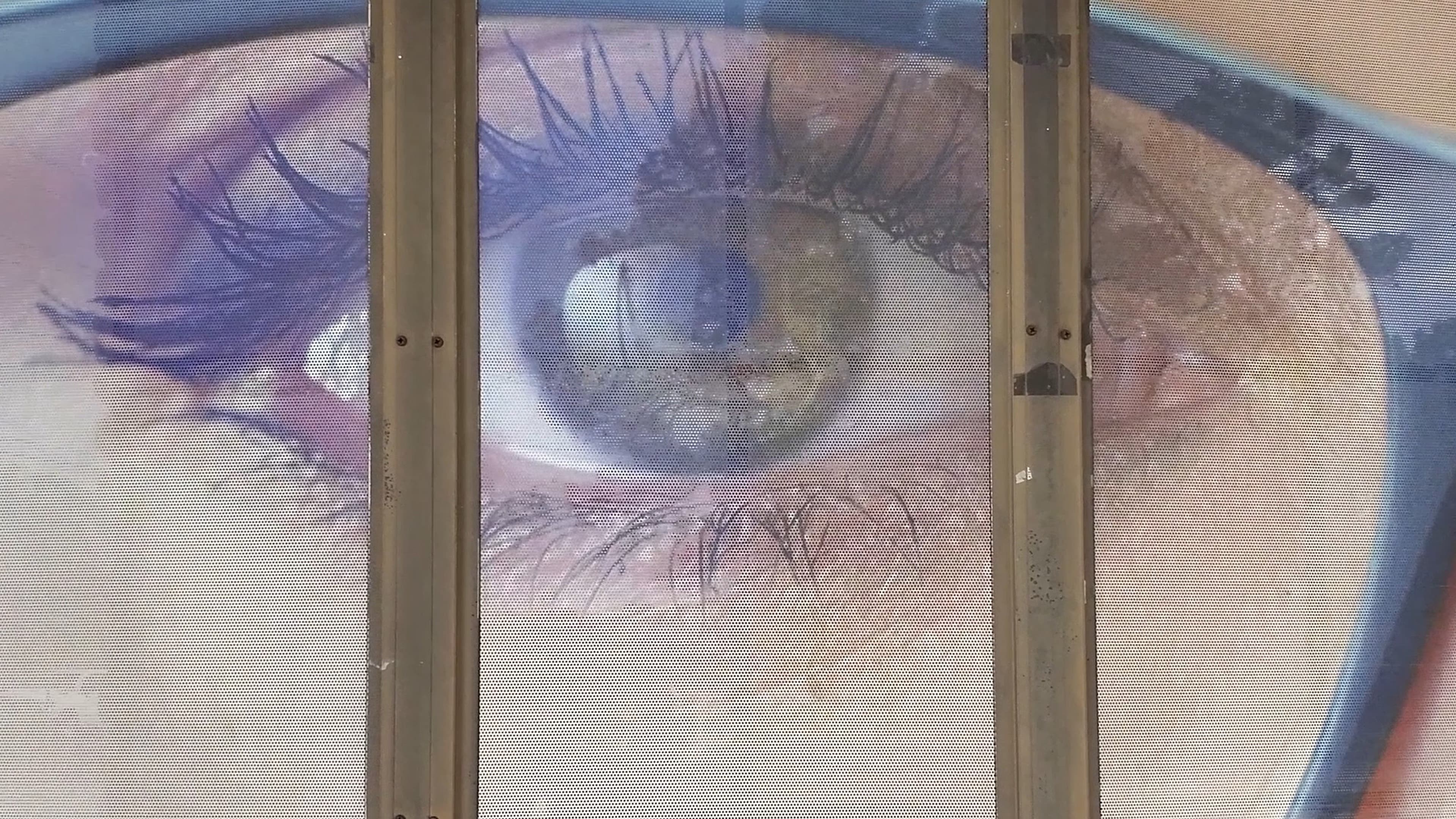 Backdrop for Blindsided