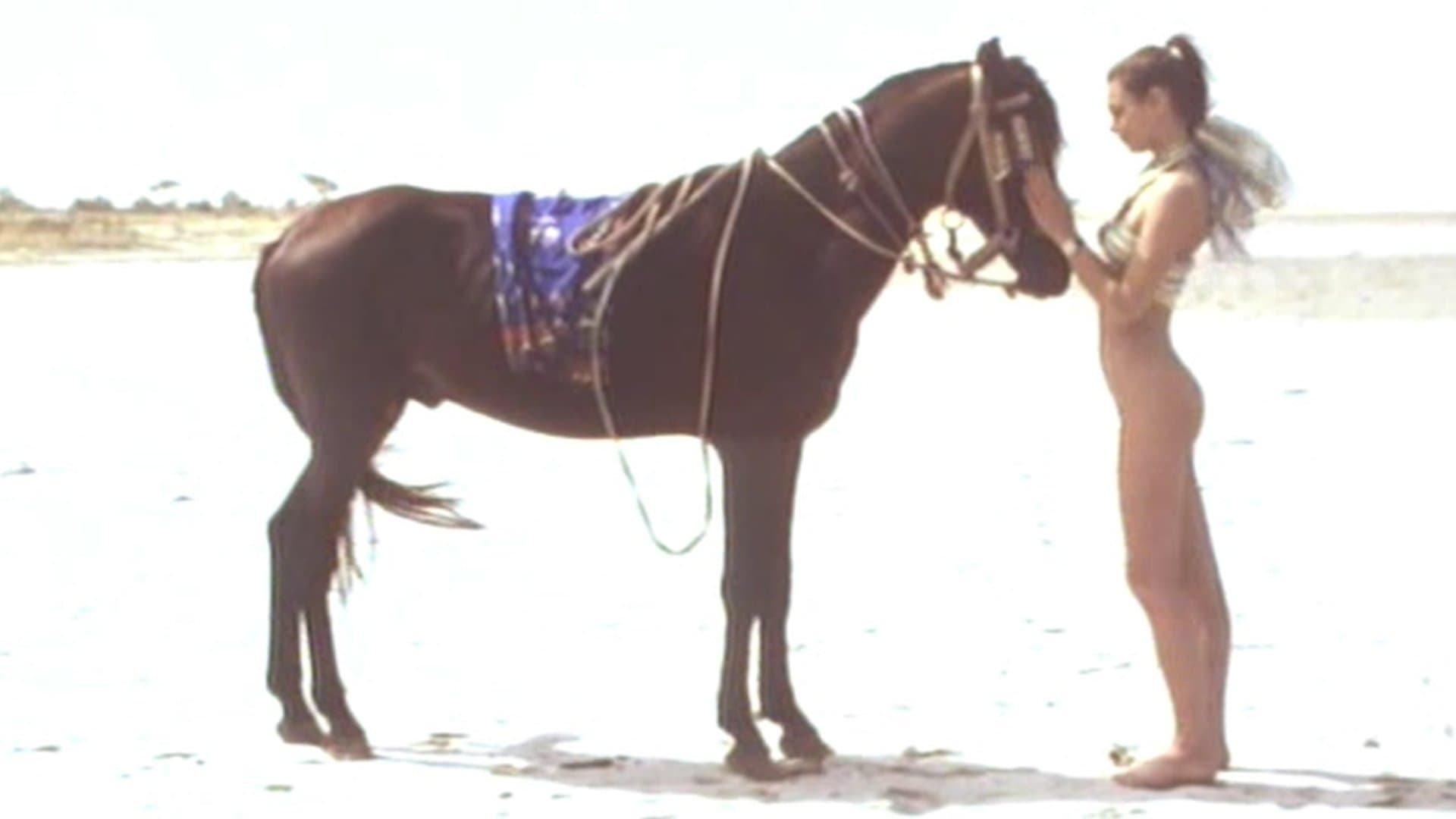 Backdrop for Joy in Africa