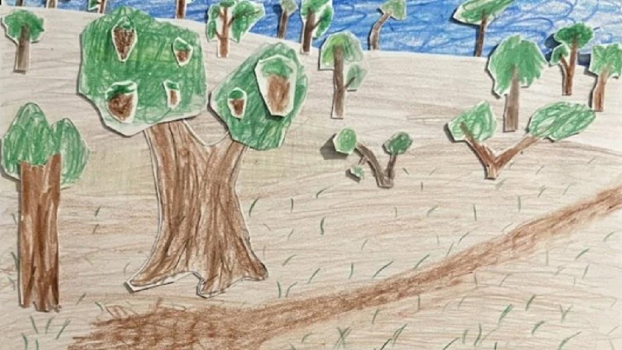 Backdrop for Deforestation