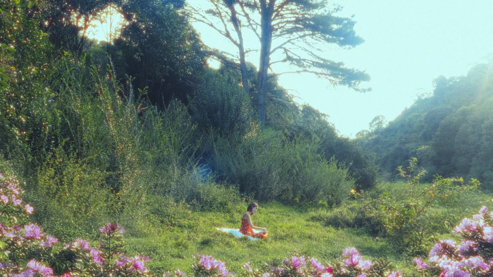 Backdrop for Mi Jardín