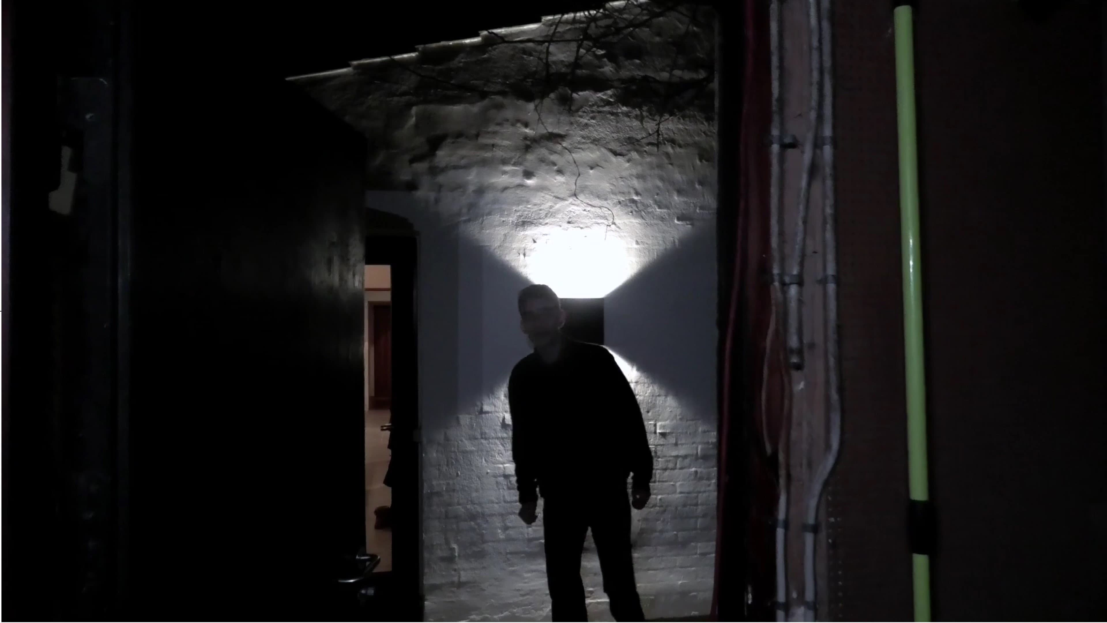 Backdrop for The Revenge