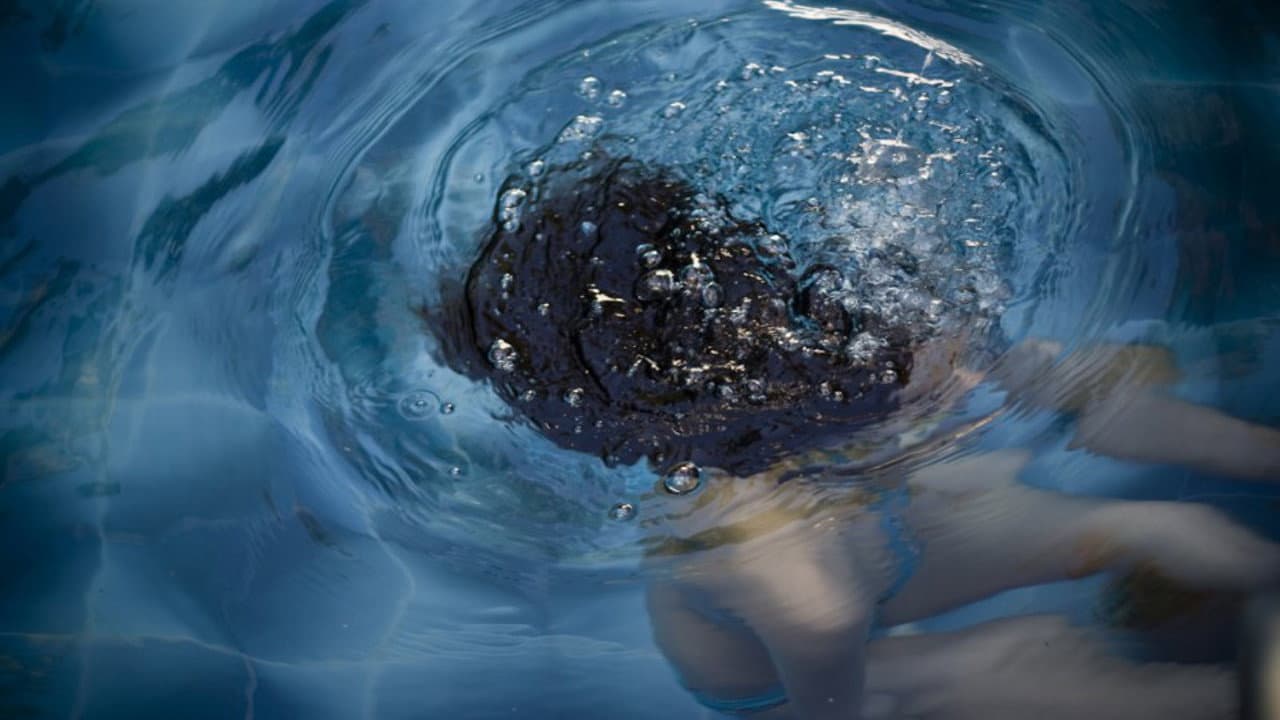 Backdrop for Laurita