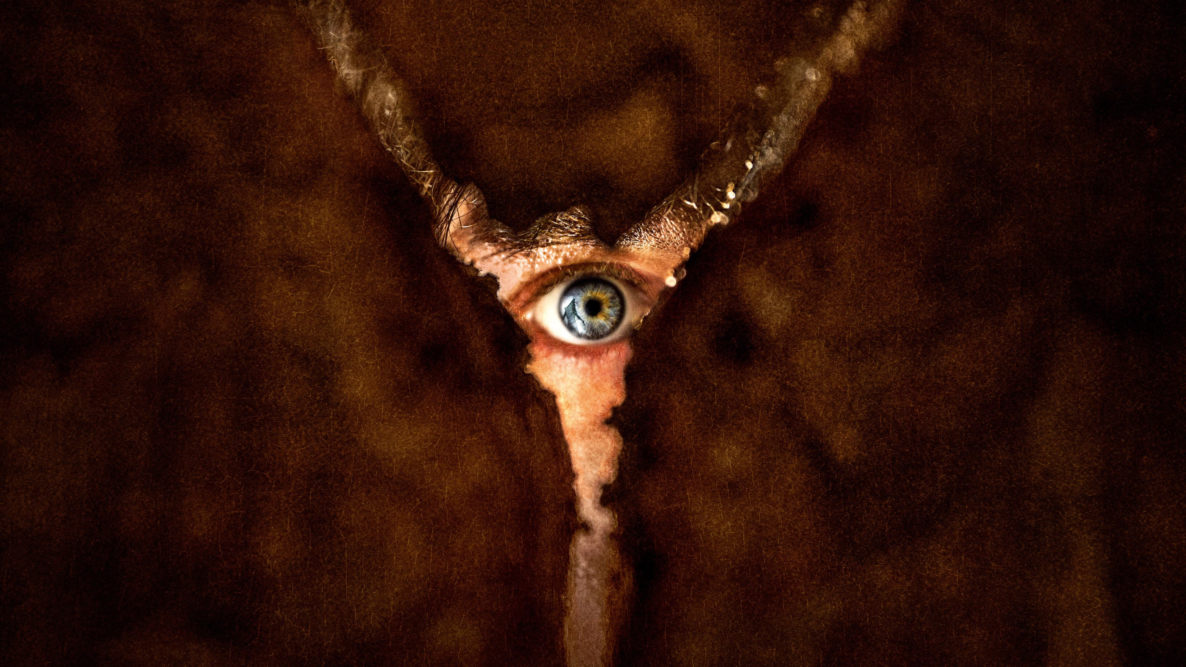 Backdrop for Return to Silent Hill