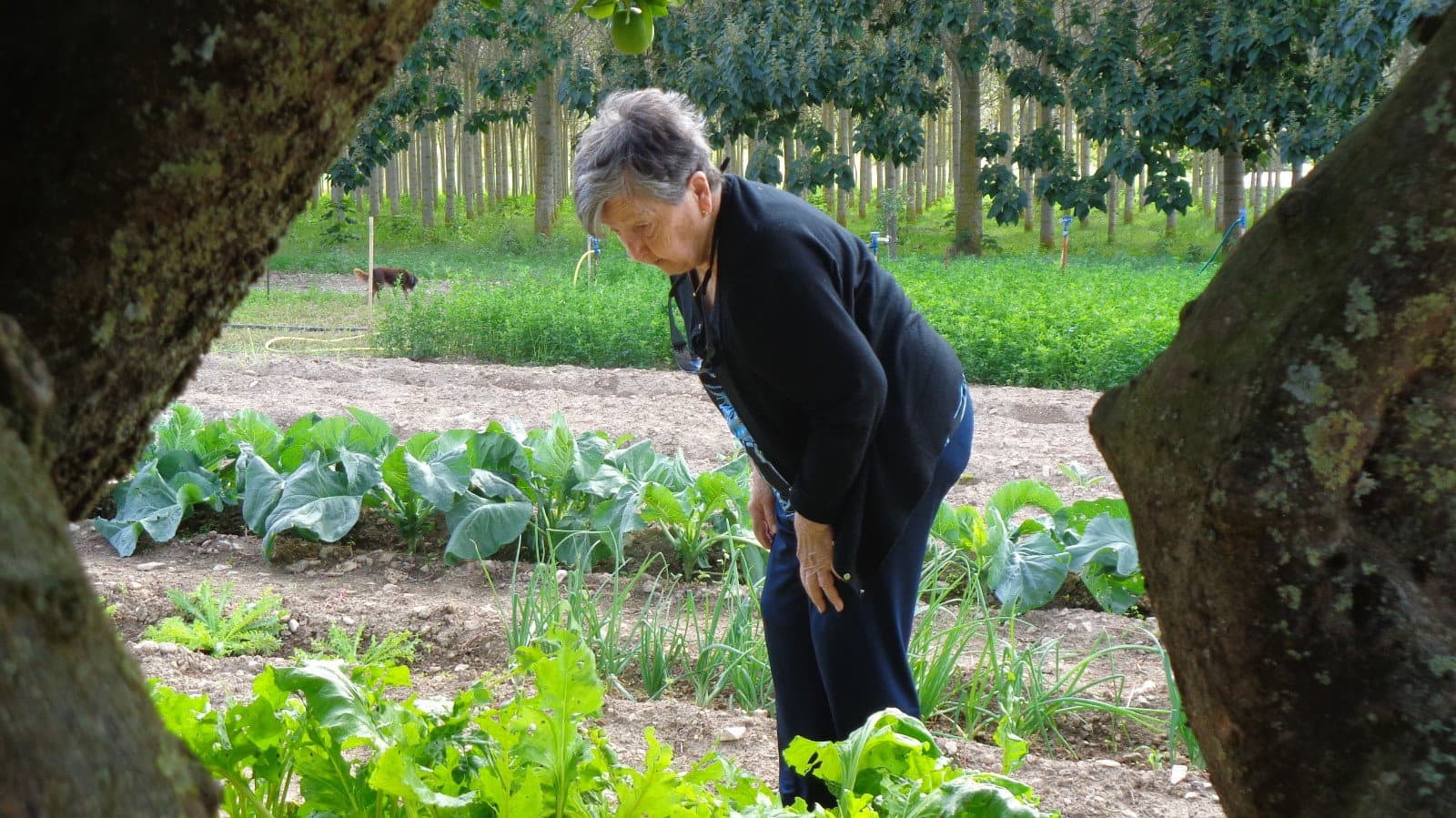 Backdrop for De tros en tros