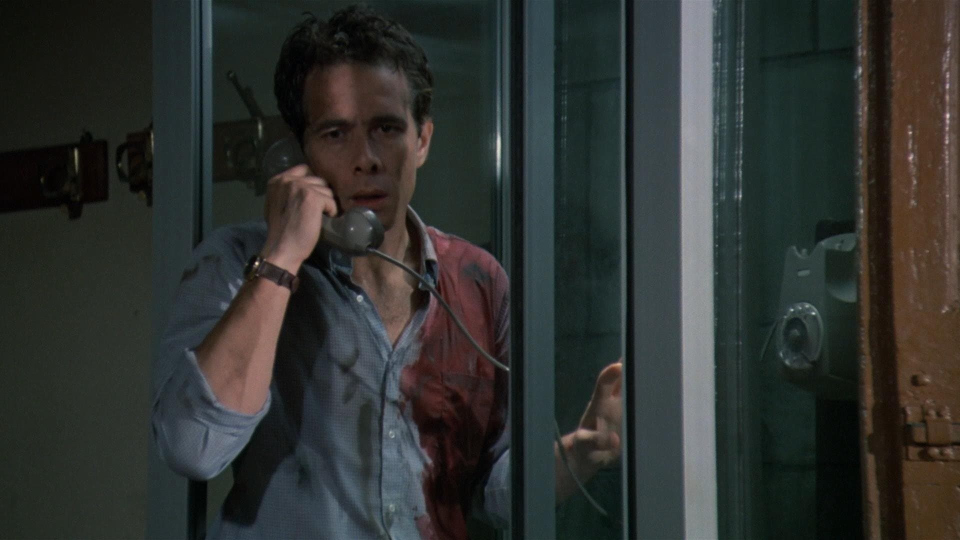 Backdrop for Revenge of the Dead