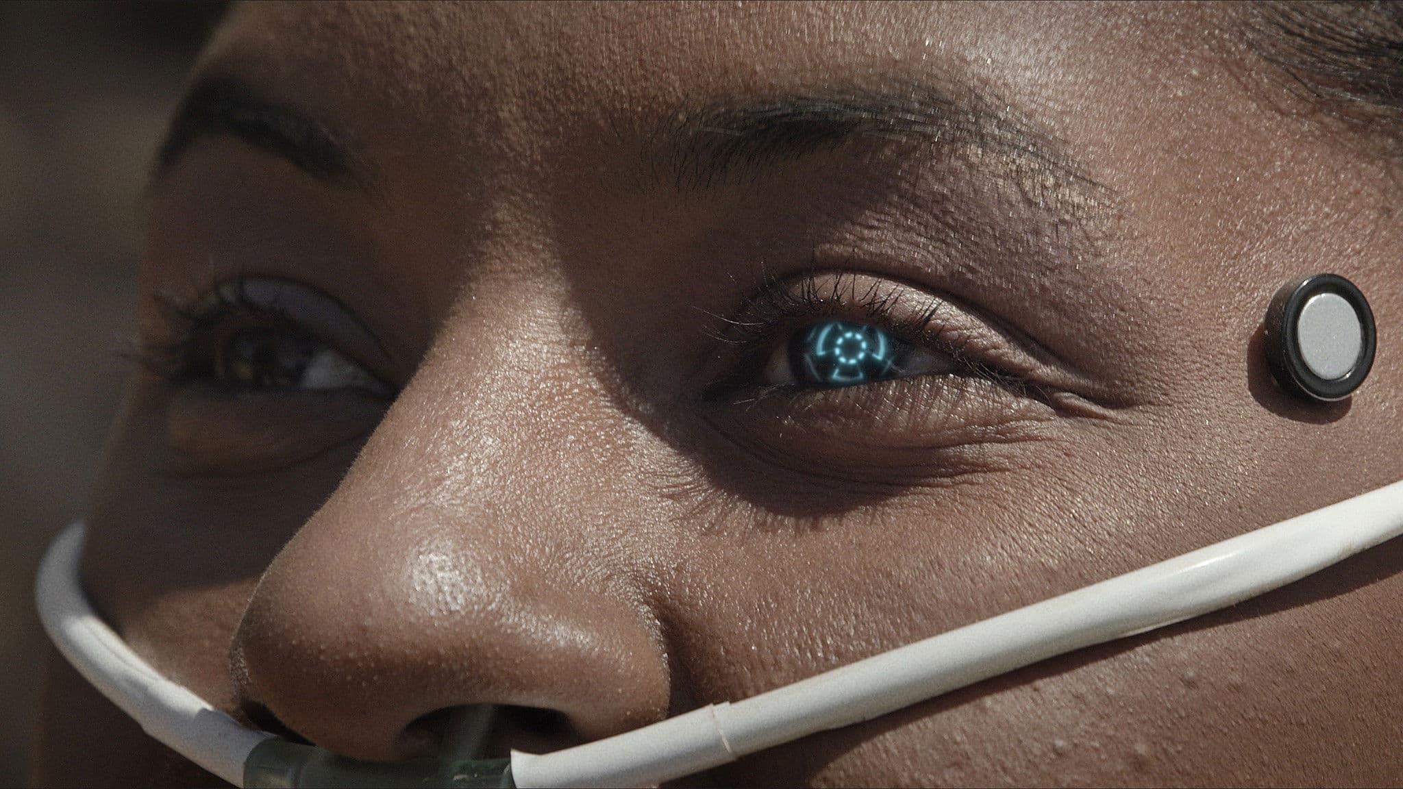 Backdrop for SERTÃO 2138