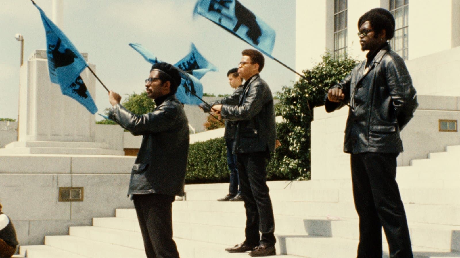 Backdrop for Black Panthers
