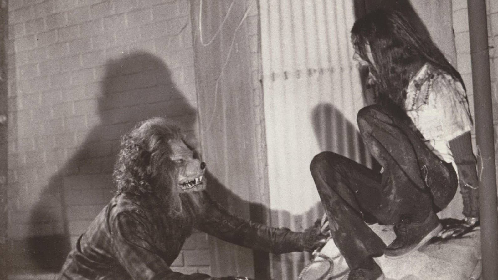Backdrop for The Werewolf of Woodstock