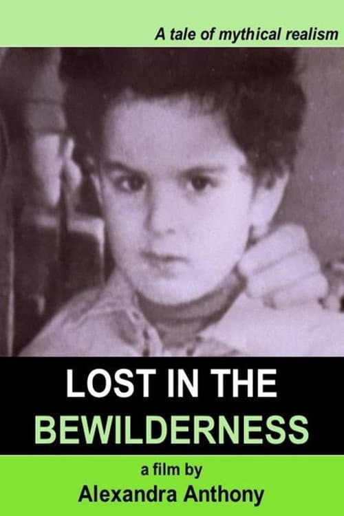 Poster for Lost in the Bewilderness