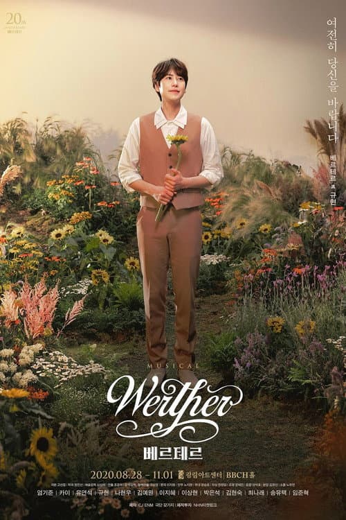 Poster for Werther