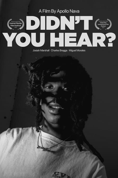 Poster for Didn't You Hear?