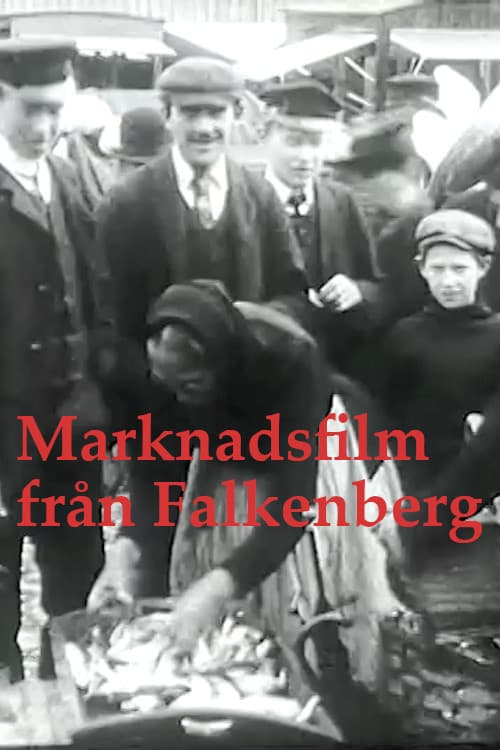 Poster for Falkenberg Market