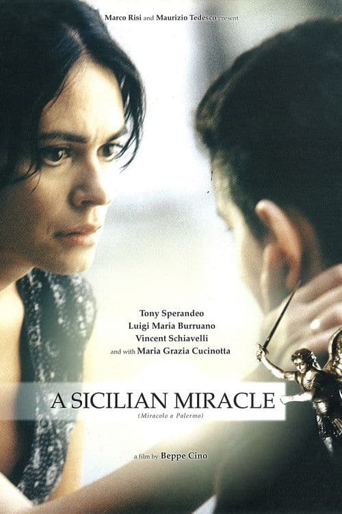 Poster for Miracolo a Palermo!