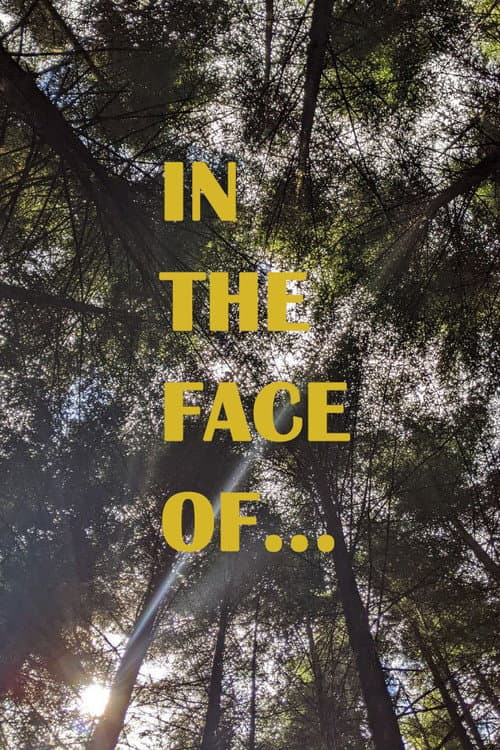Poster for In the face of...