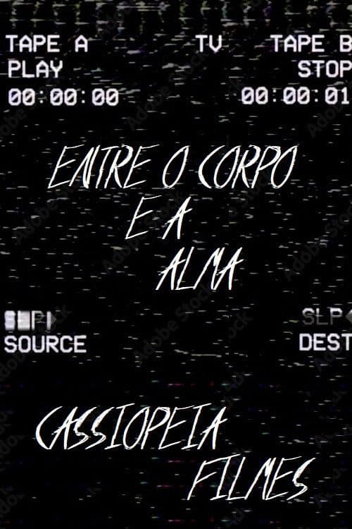 Poster for The last VHS