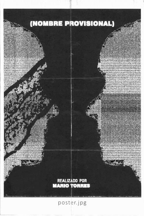 Poster for Provisional Name