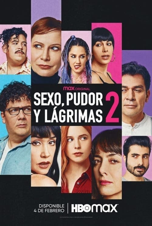 Poster for Sex, Shame and Tears 2