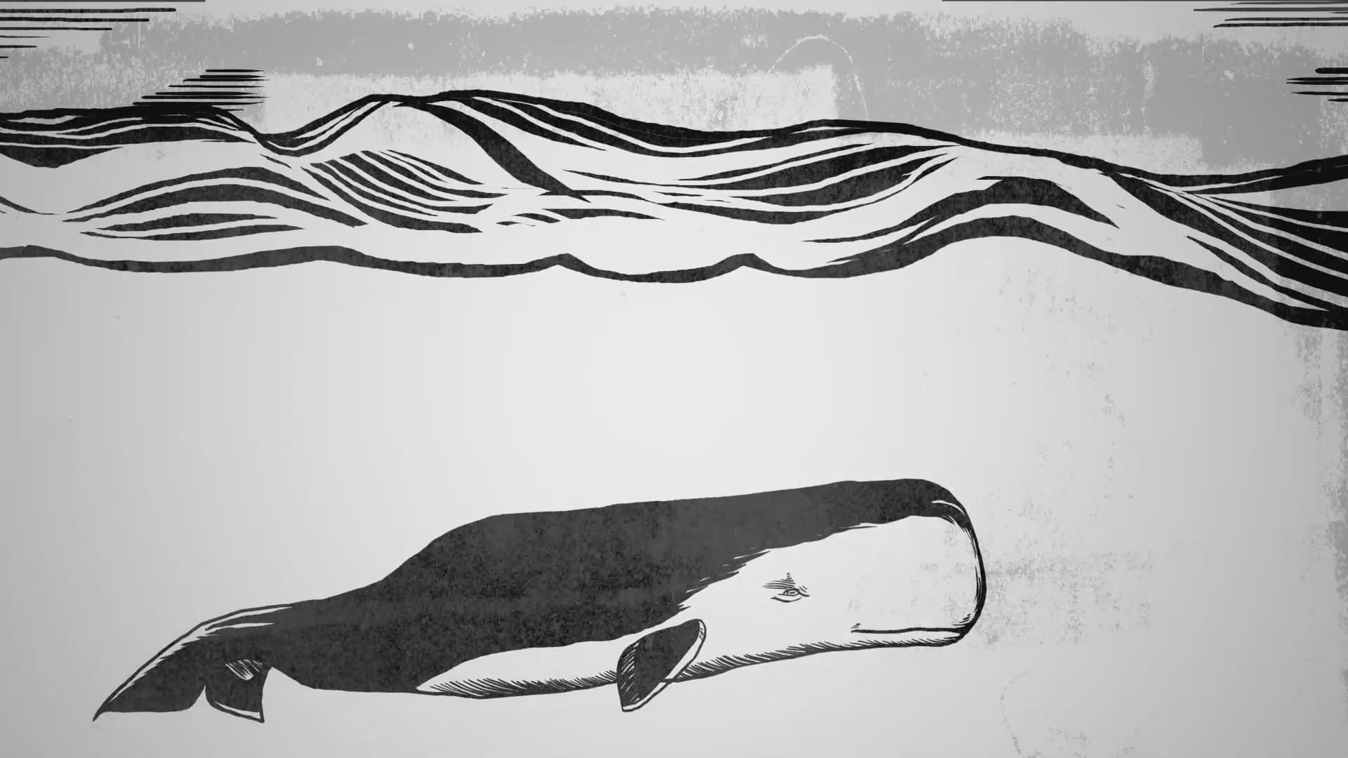 Backdrop for Moby Dick: An American Allegory
