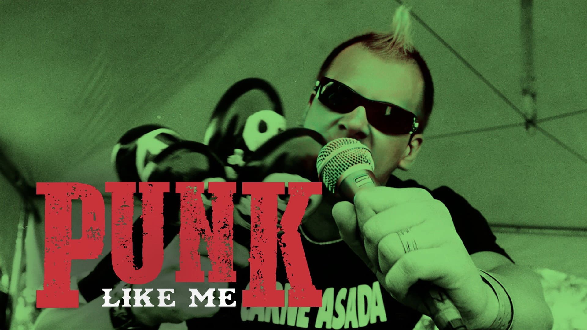 Backdrop for Punk Like Me
