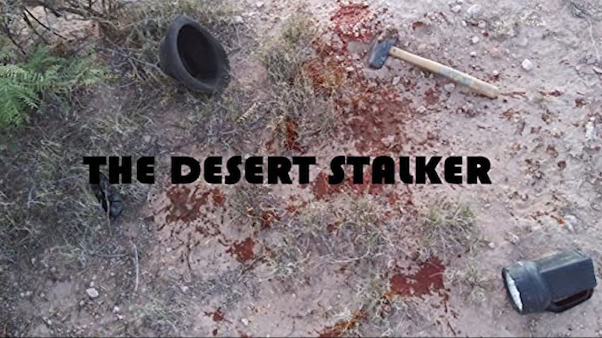 Backdrop for The Desert Stalker
