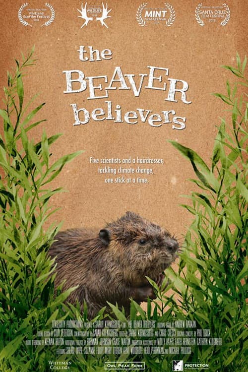 Poster for The Beaver Believers