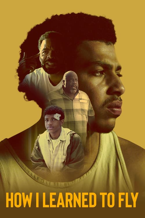 Poster for How I Learned to Fly