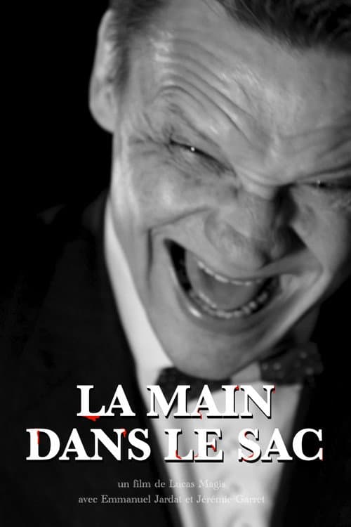 Poster for La Main dans le sac