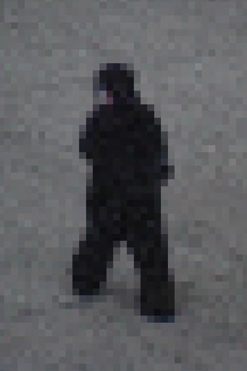 Poster for Gorilla Gorilla