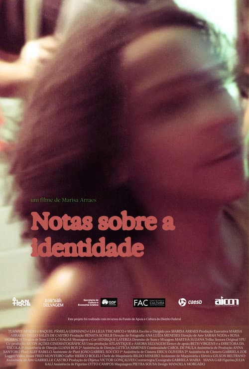 Poster for Notes on Identity